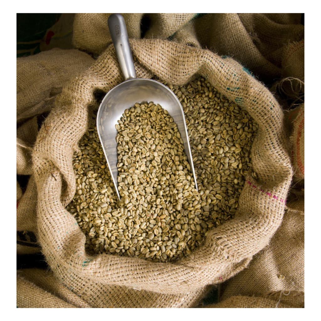 Café em Grãos Cru 100% Arábica Café Verde para torrar Café Caseiro Premium